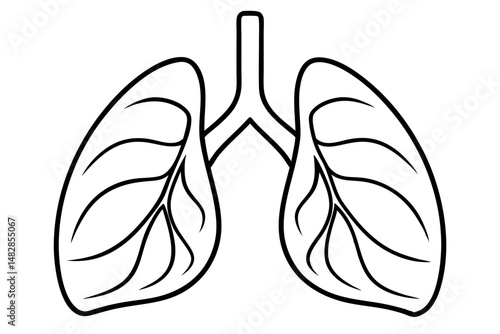 lungs silhouette line art vector illustration with a white background