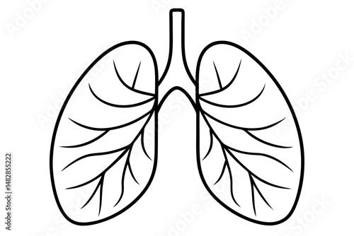lungs silhouette line art vector illustration with a white background
