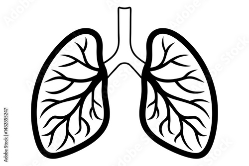 lungs silhouette line art vector illustration with a white background
