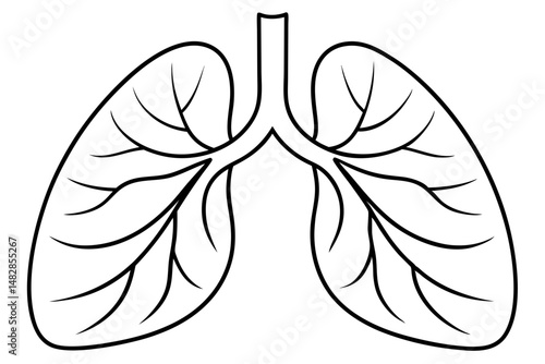 lungs silhouette line art vector illustration with a white background
