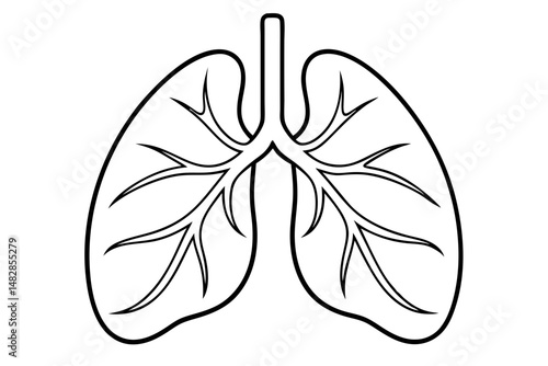 lungs silhouette line art vector illustration with a white background