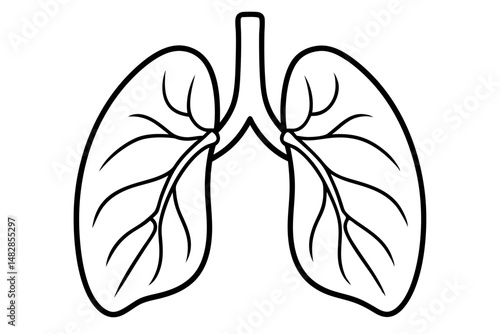 lungs silhouette line art vector illustration with a white background