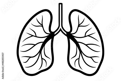 lungs silhouette line art vector illustration with a white background