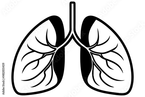 lungs silhouette line art vector illustration with a white background