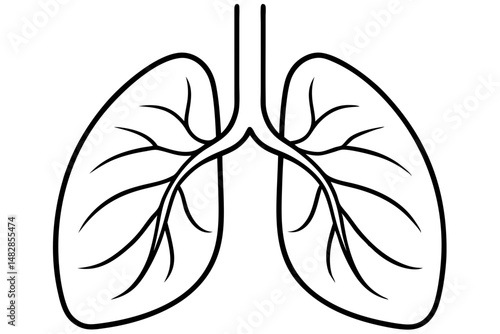 lungs silhouette line art vector illustration with a white background