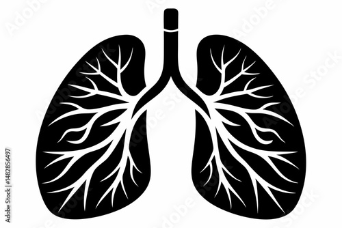 lungs silhouette line art vector illustration with a white background