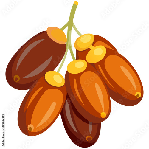 Date fruit bunch vector illustration in flat style
