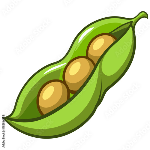 Fresh edamame pod with soybeans vector
