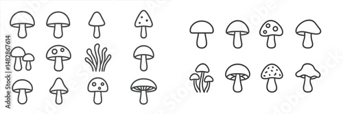 Collection of hand-drawn mushroom illustrations showcasing different species and styles in black and white