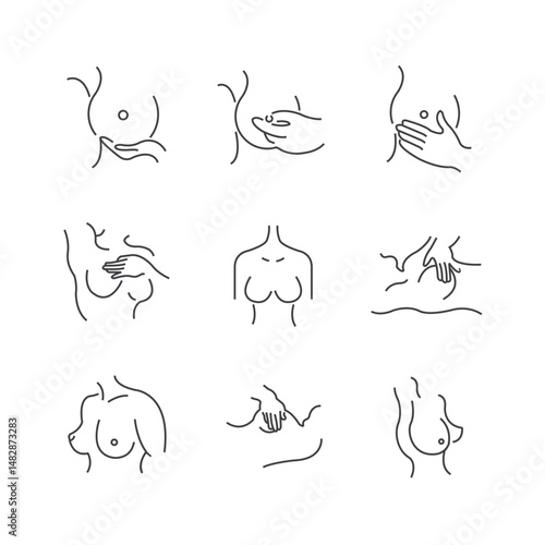 Vector Icon Sets Collection: Medical, Technology, Education, Nature & More