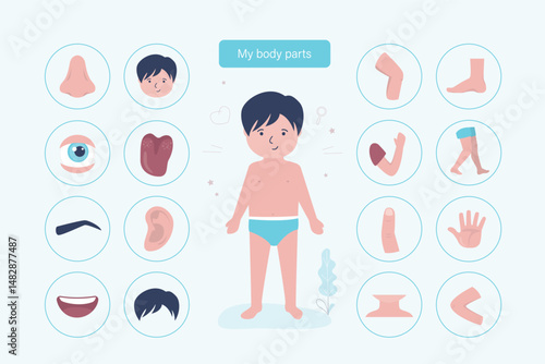 Preschool educational banner or poster, icons template. Set of boy body organs pictogram. Child or kid body parts for learning human anatomy. Boy full length.