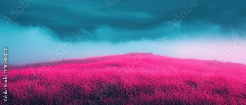 Vivid magenta field under a cloudy, turquoise sky creates surreal, dreamlike atmosphere