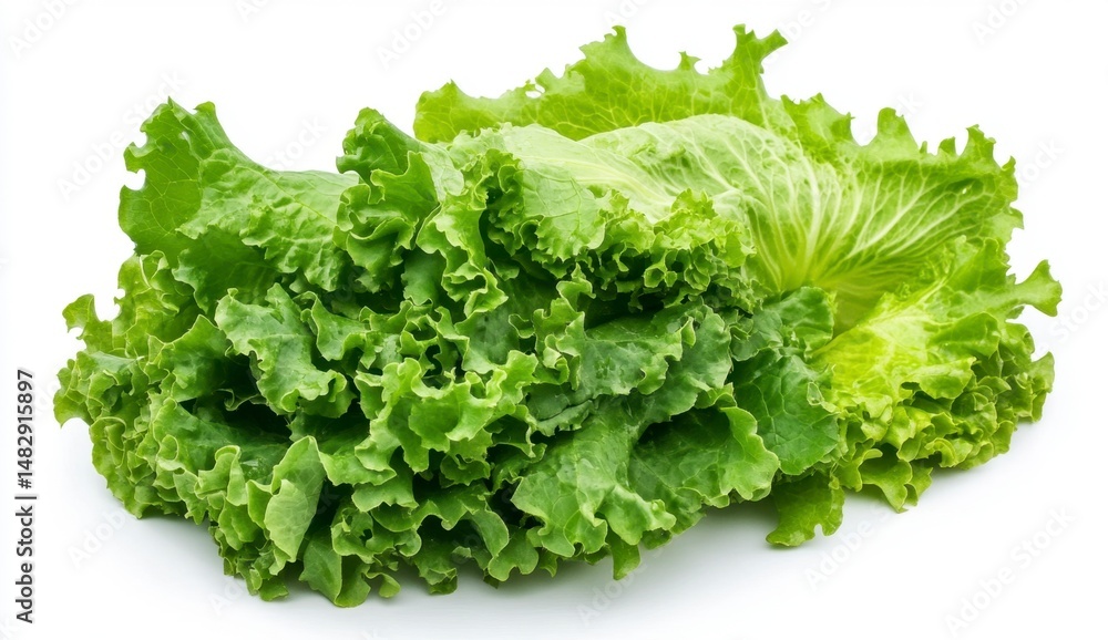 Fresh Crisp Green Lettuce Leaves Isolated on White Background Fresh Crisp Green Lettuce Leaves Isolated on White Background