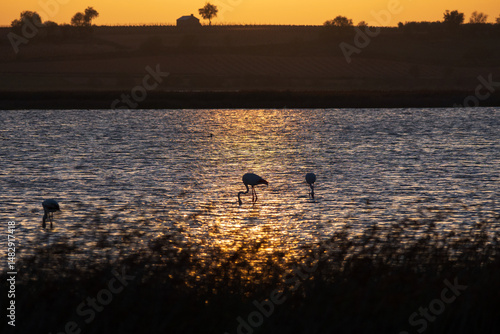 Sunset at the natural complex of Manjavacas lagoon, Mota del Cuervo, Cuenca, Spain