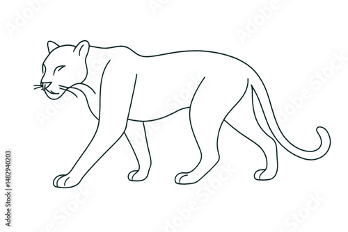 Detailed line drawing of a stealthy feline walking gracefully on a plain background