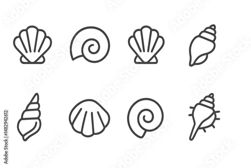 Collection of various shell designs showcasing different shapes and patterns in a minimalistic style for artistic inspiration