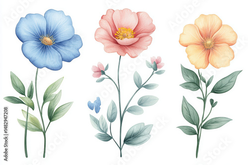 Wallpaper Mural Watercolor Floral Illustration for T-shirts. Three watercolor flowers bloom in this illustration, perfect for decorative t-shirt designs, featuring diverse colors and styles. Torontodigital.ca