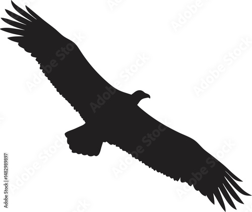 Vulture Silhouette PNG Transparent Background