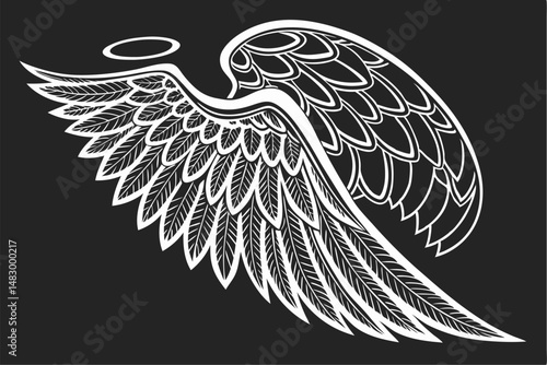 Photoshop overlays set to screen fairy wings drag and drop angel wings with black background for adobe composites. ornate, beautiful, intricate, wings.