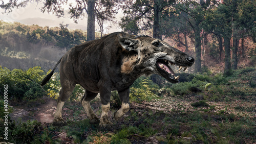 Andrewsarchus (A Carnivorous Ungulate)
