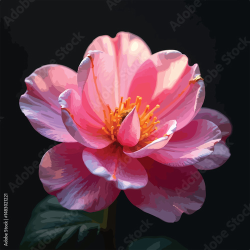 lotus flower isolated on black