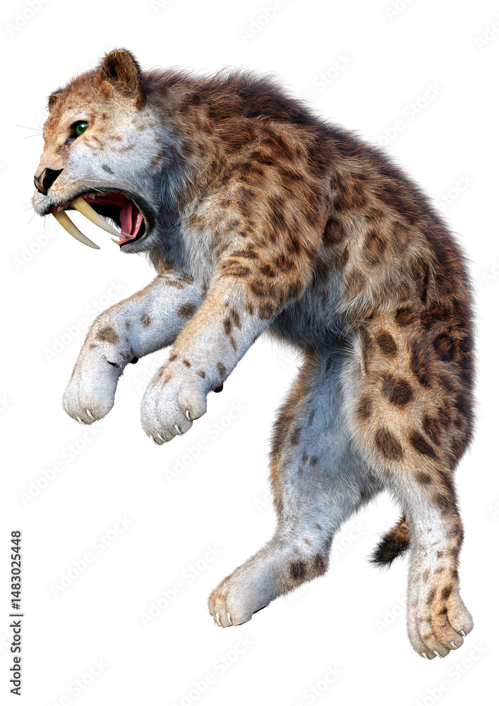 Fototapeta premium 3D Rendering Saber Toothed Tiger on White