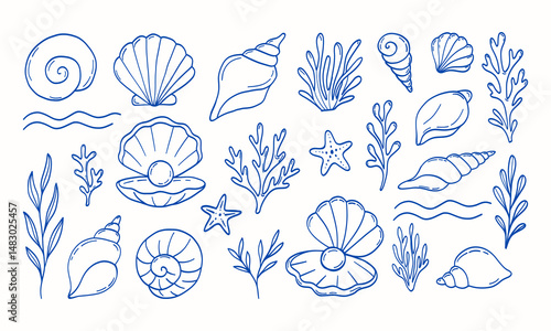 A blue and white drawing of various sea creatures including shells, starfish, and seaweed. The drawing conveys a sense of the ocean and its inhabitants