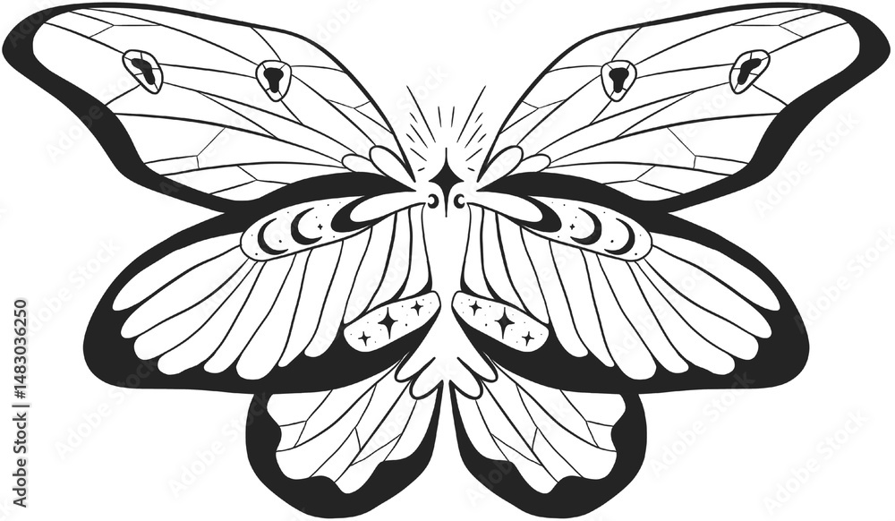 Fototapeta premium butterfly