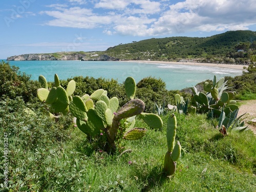 Panoramic view of Spiagga Procinisco. Peschici, Puglia, Italy.