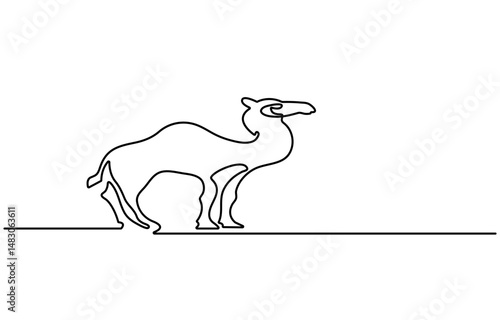 Continuous line drawing of camel. Single line illustration of arabian camel. Dessert animal, dromedary vector outline. Editable outline