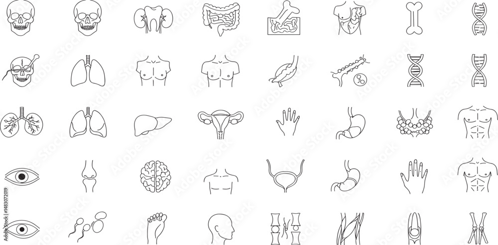 Human Body Line Editable Icons set. Vector illustration in modern thin line style of human anatomy icons: organs, body parts, skeleton parts, Human Body Line Editable Icons set. Vector illustration in modern thin line style of human anatomy icons: organs, body parts, skeleton parts,