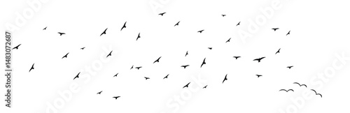 fly