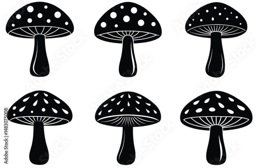 Set of edible and poisonous mushrooms vector illustration