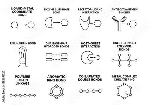 molecule bonding micro concept. Diagrams of various chemical bonds and molecular interactions.