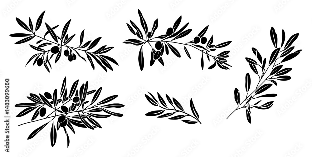 Fototapeta premium Set of olive branch black silhouettes with leaves and fruits. Vector botanical illustration isolated on transparent background. Perfect for packaging, logos, labels, and natural designs
