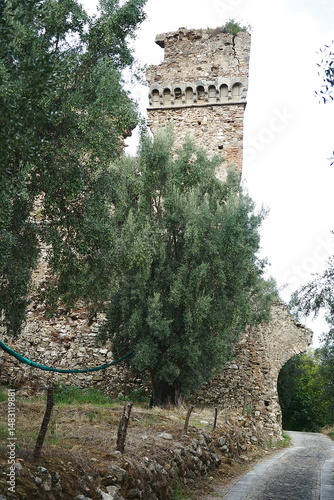 Podobny obraz