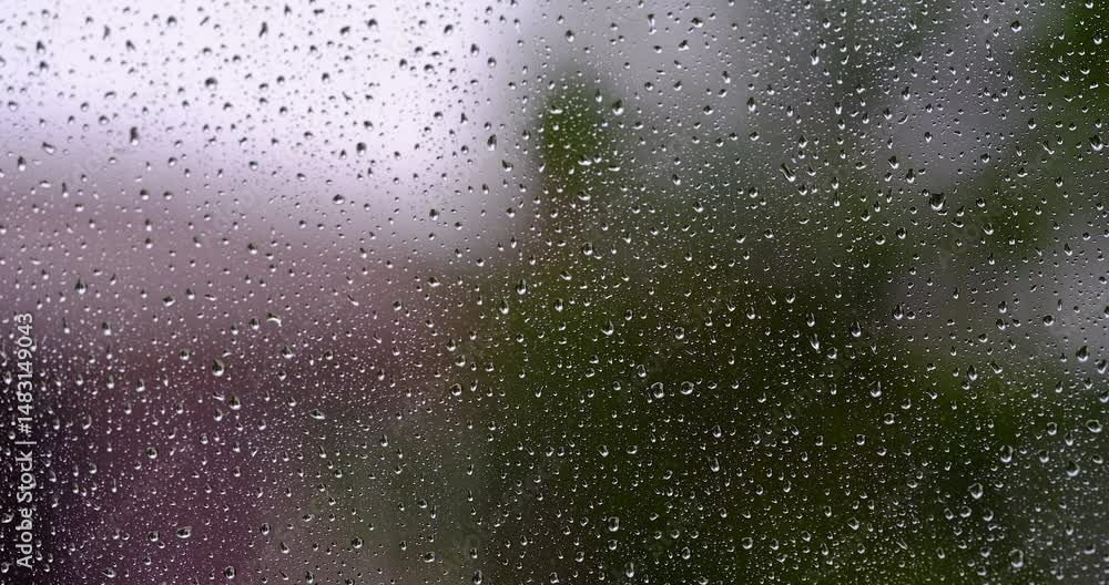 rainy das, rain drops on the window rainy das, rain drops on the window