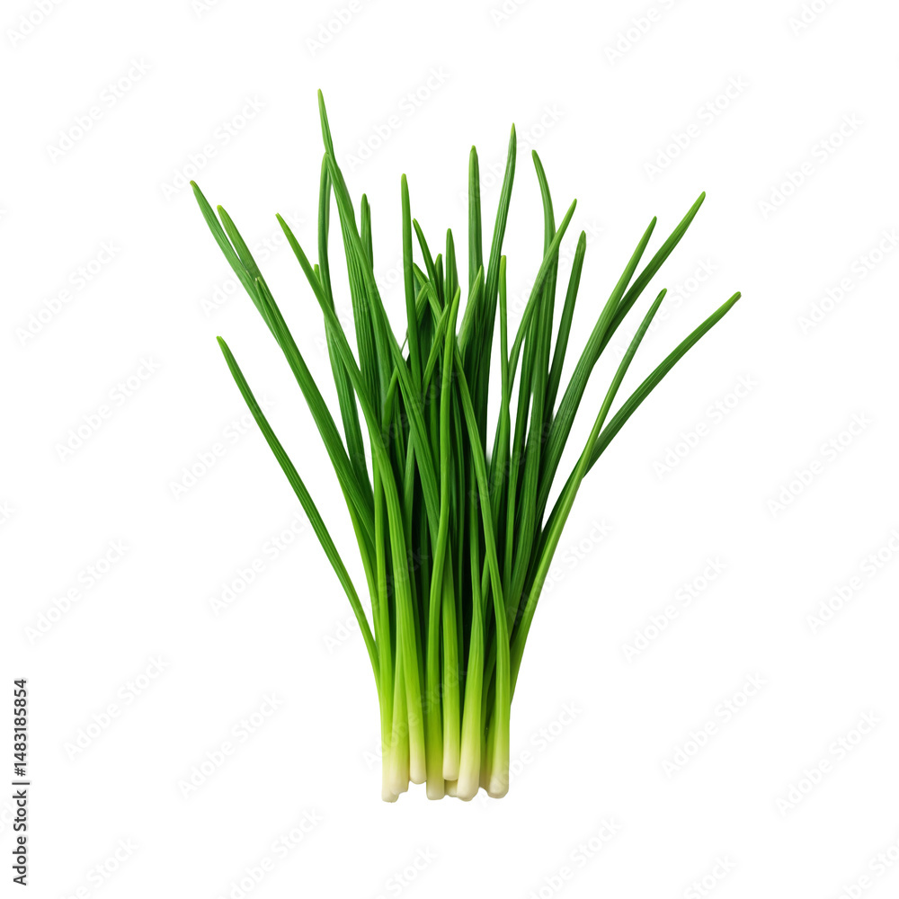 A bunch of green grass A bunch of green grass
