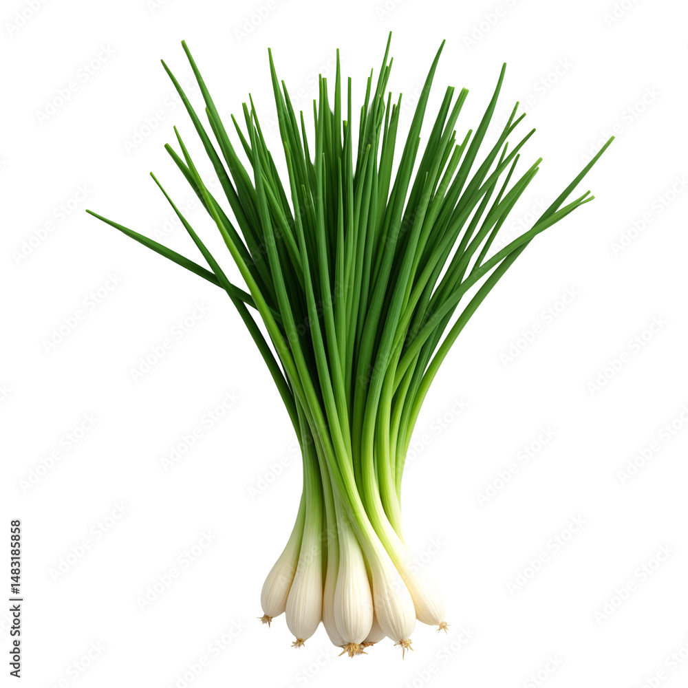 A bunch of green onions A bunch of green onions