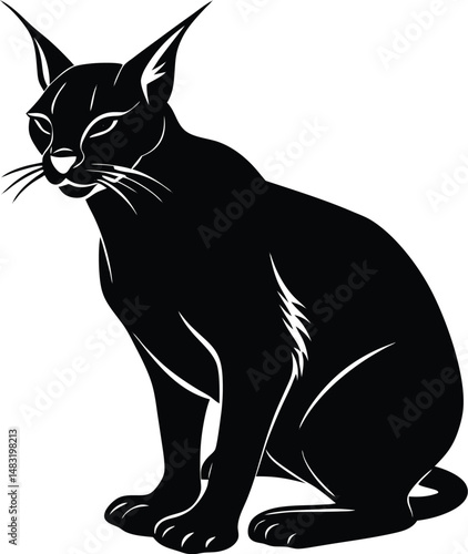 Caracal Silhouette Crouched Low