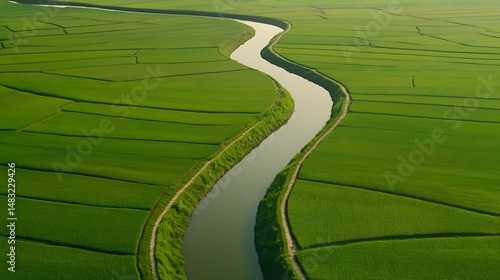 Aerial View of Serpentine River Flowing Through Lush Green Rice Paddies in Rural Landscape