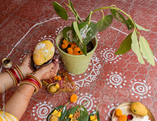 Woman’s Hand with mehndi and colorful bangles offering a ripe yellow mango to a sacred banyan tree during Vat Savitri Puja . symbolic moment of devotion, tradition, and cultural heritage in India .
