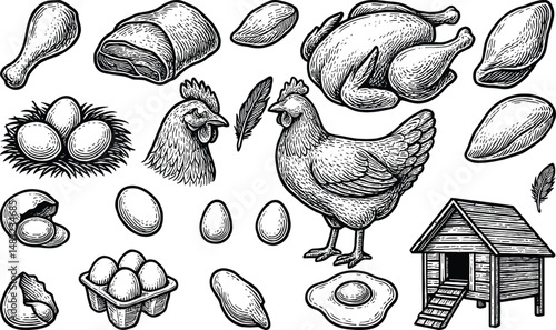 A black-and-white educational illustration featuring farm-related objects including chicken, eggs, henhouse, rooster, nest, grains, and seeds, serving as a farming reference