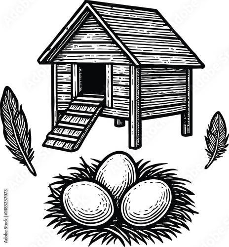 Hand-drawn black-and-white illustration of a rustic farm scene featuring a chicken coop, birdhouse on stilts, eggs, and chickens in a natural farmyard setting. Captures rural farm life charm and natur
