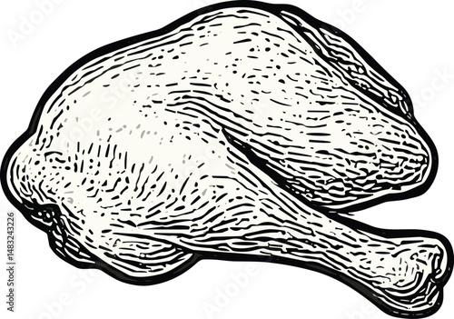 Raw duck thigh and breast hand-drawn illustration showcasing fresh, high-quality poultry cuts with detailed textures, perfect for culinary use, gourmet cooking, and healthy protein-rich meals, emphasi
