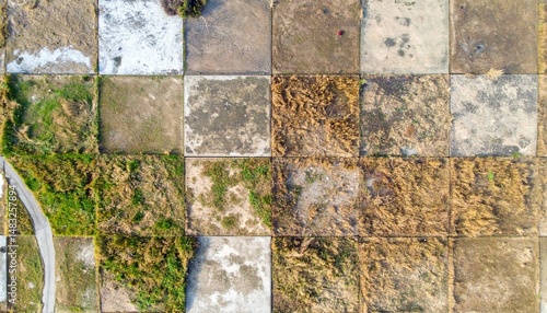 Grama seca e mal cuidada