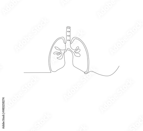 Continuous single line on the anatomy of the lungs. White background Minimalist vector illustration.
