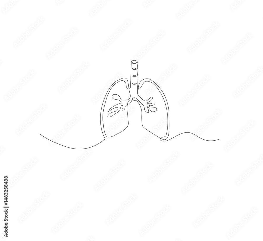 Obraz premium Continuous single line on the anatomy of the lungs. White background Minimalist vector illustration.