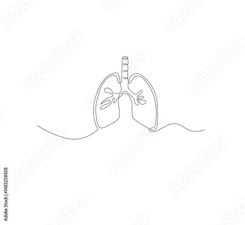 Continuous single line on the anatomy of the lungs. White background Minimalist vector illustration.