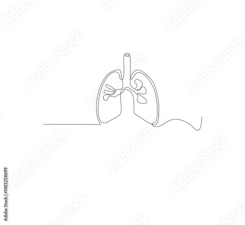 Continuous single line on the anatomy of the lungs. White background Minimalist vector illustration.